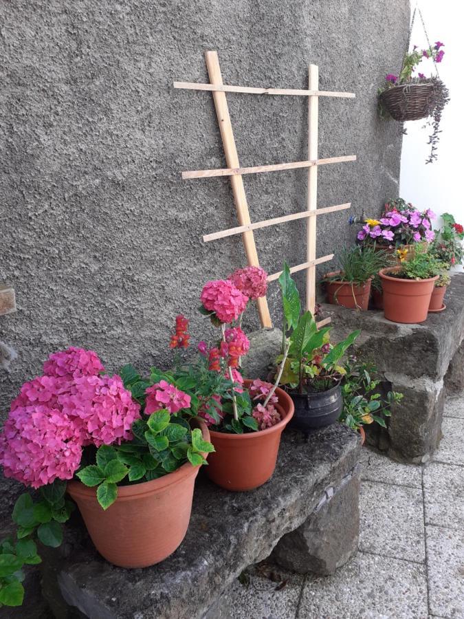 Willa Casa Da Travessa Santa Cruz das Flores Zewnętrze zdjęcie